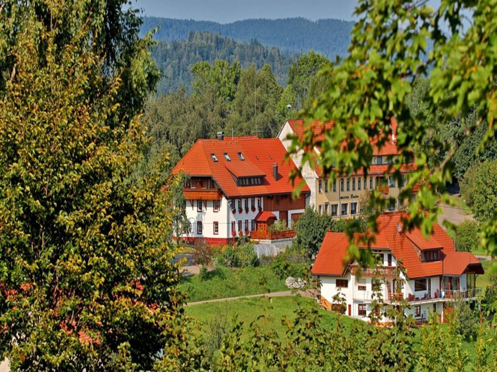 Haus Schlageter Apartment Dachsberg im Schwarzwald